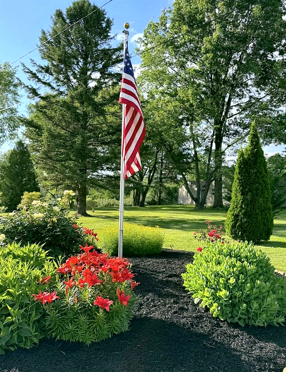 A mulched bed with red flowers and evergreens around a flagpole.