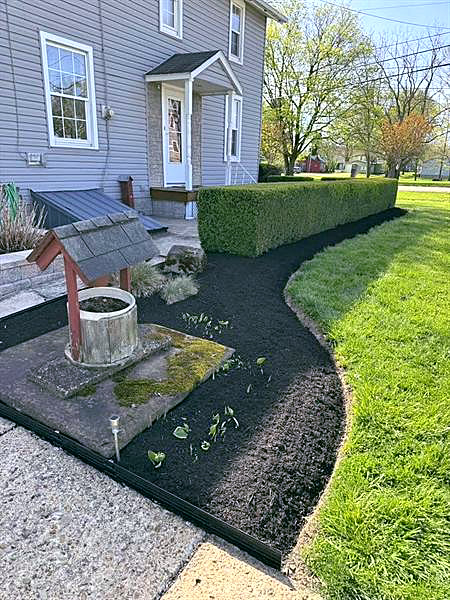 A crisp black mulch bed with a hedge and a wishing well beside a house.