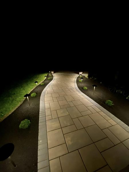 A curving paver walkway at night lit by low path lights, with small shrubs on each side.