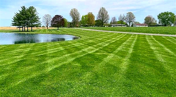A striped lawn beside a pond on a sunny day.