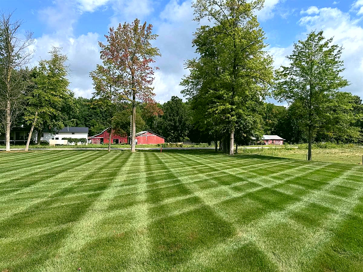 A wide striped lawn with a red barn and farmhouse behind a line of trees.
