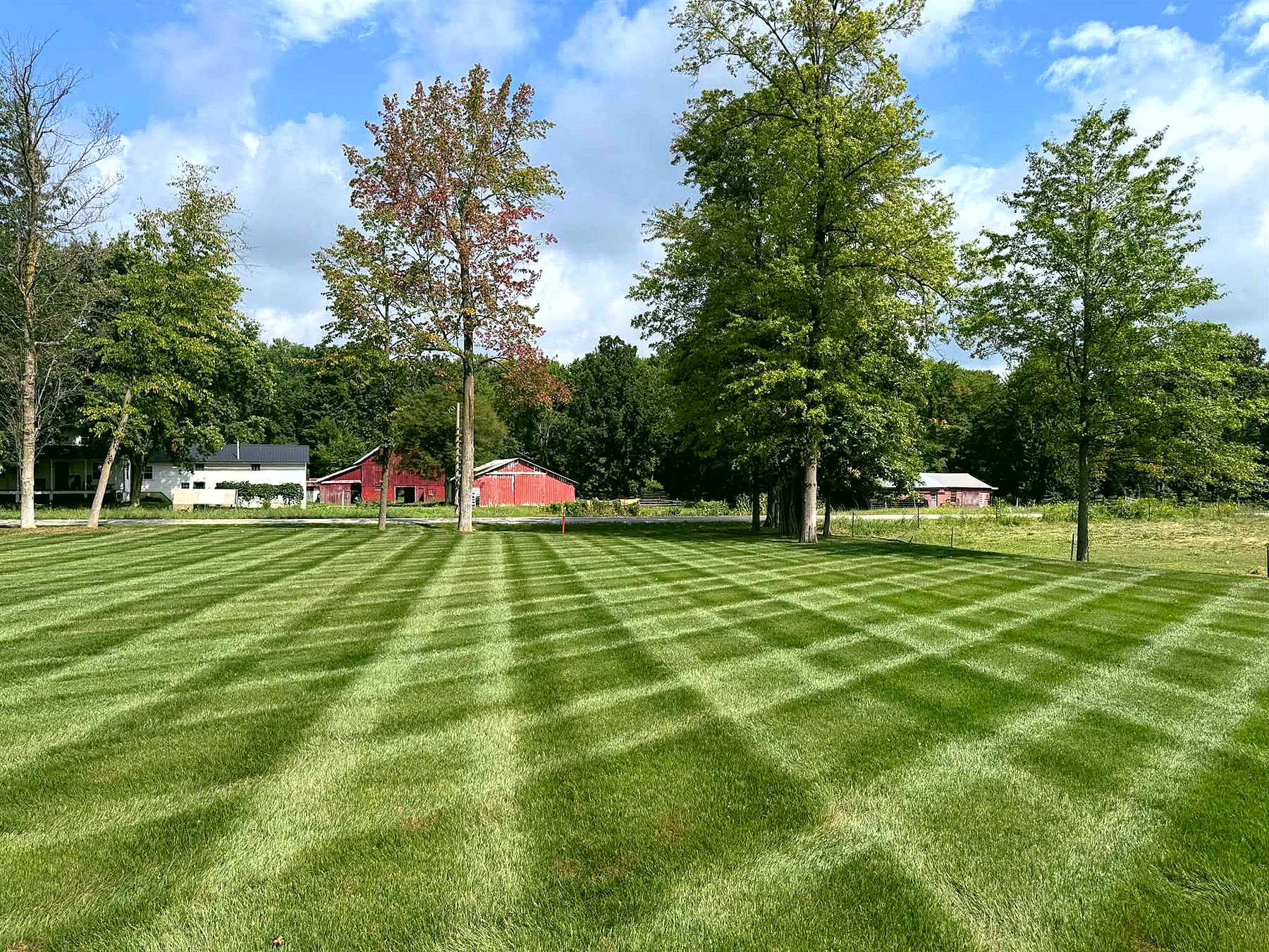 A wide striped lawn with a red barn and farmhouse behind a line of trees.