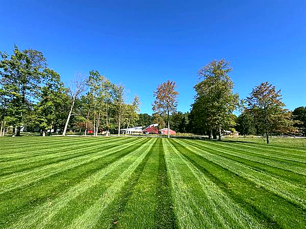Long mowing stripes running toward a tree line under a blue sky.