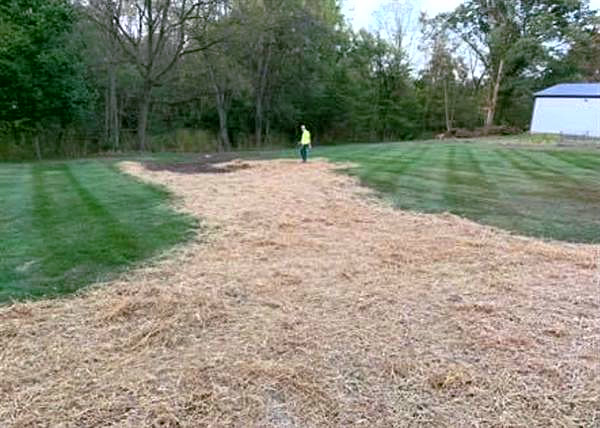 A newly seeded front lawn under straw beside a country road.