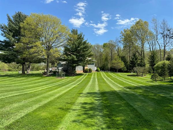 A wide backyard mowed in long alternating stripes toward a house and tall pines.